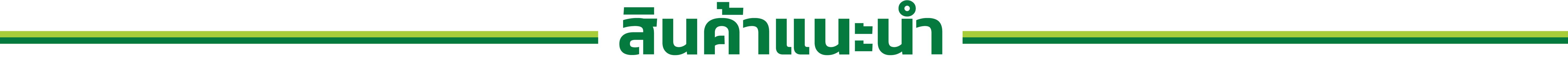 สินค้าแนะนำ